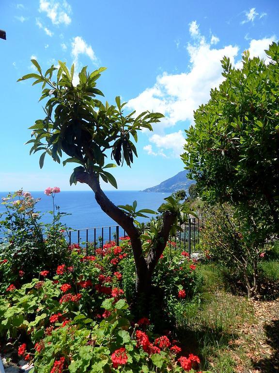 Amalfi View Cottage מראה חיצוני תמונה