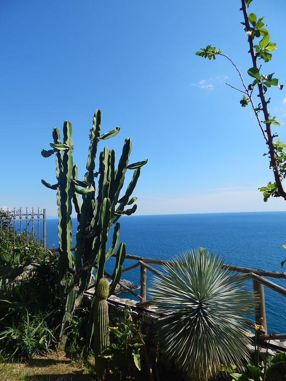 Amalfi View Cottage מראה חיצוני תמונה